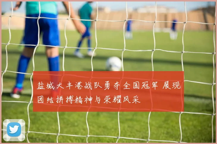 盐城大丰港战队勇夺全国冠军 展现团结拼搏精神与荣耀风采