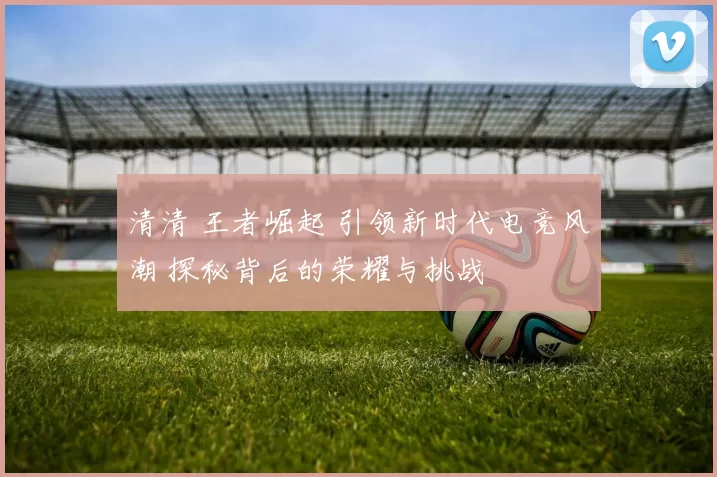 清清 王者崛起 引领新时代电竞风潮 探秘背后的荣耀与挑战