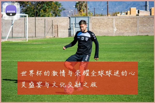 世界杯的激情与荣耀全球球迷的心灵盛宴与文化交融之旅