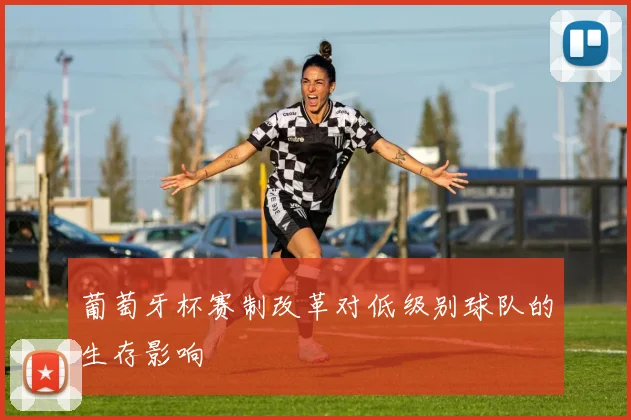 葡萄牙杯赛制改革对低级别球队的生存影响