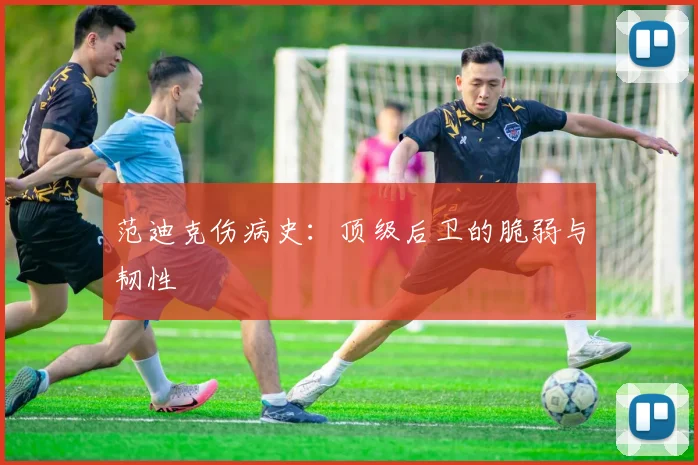 范迪克伤病史：顶级后卫的脆弱与韧性