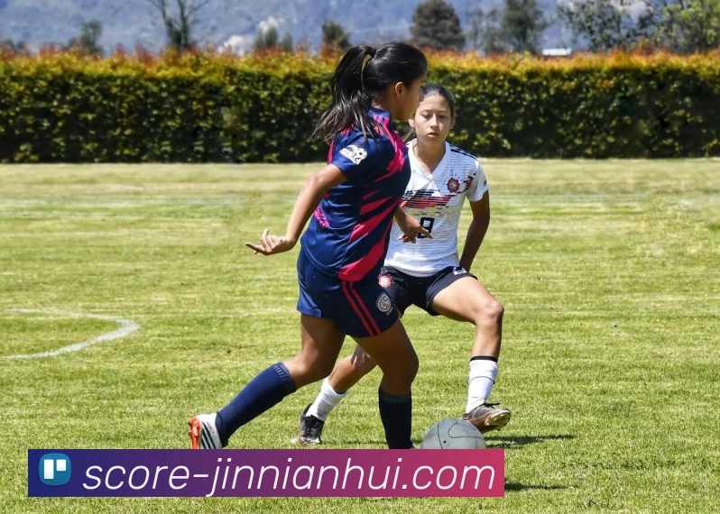 布鲁诺费尔南德斯：从天才少年到足球巨星的辉煌历程与未来展望